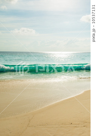 tropical beach tropical beach 10537131