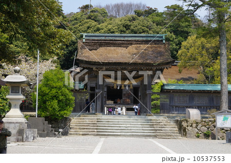 気多大社 10537553