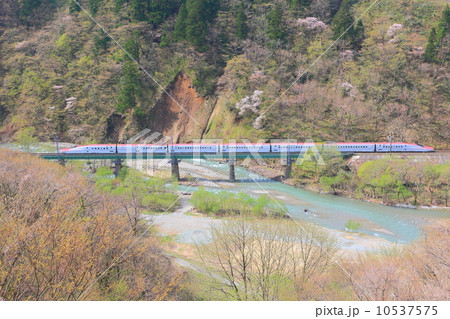 谷を走る秋田新幹線こまち 谷を走る秋田新幹線こまち 10537575