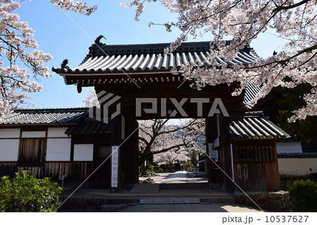 橘寺 10537627