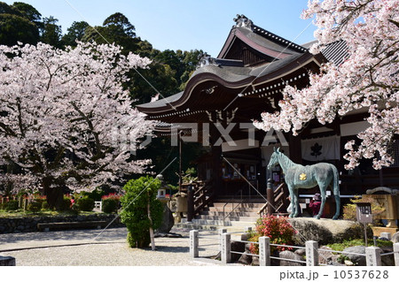 橘寺 10537628