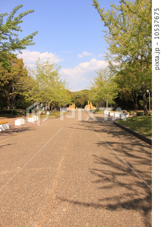 堺市大泉緑地公園 10537675