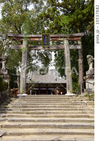 大神神社　若宮社 10537682
