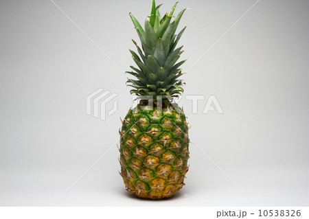 パイナップル 10538326