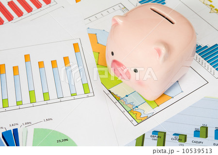 Piggy bank with business charts Piggy bank with business charts 10539513