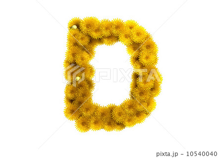 Yellow dandelion letter D, isolated on white 10540040