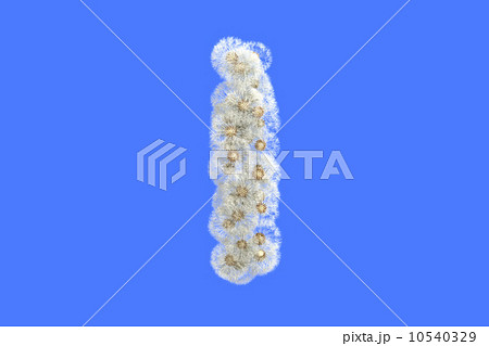 Dandelion letter I with seeds on blue background 10540329