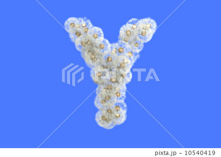 Dandelion letter Y with seeds on blue background 10540419