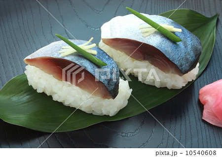 鯖寿司　寿司　握り寿司　和食 10540608