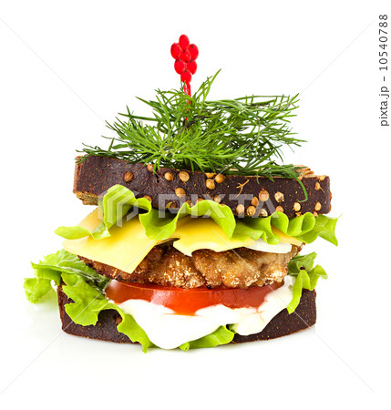 sandwich isolated 10540788