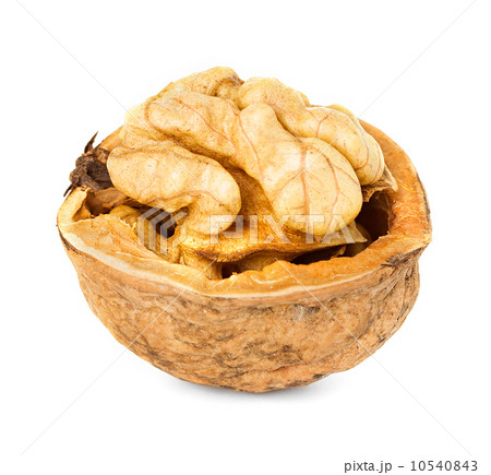 walnut half isolated on the white background walnut half isolated on the white background 10540843