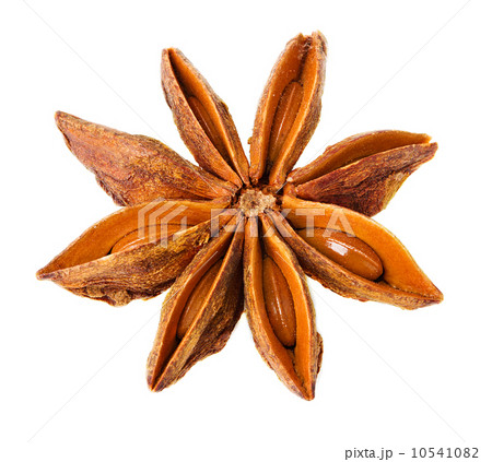a single star anise isolated on white a single star anise isolated on white 10541082