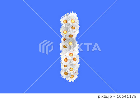 Camomile flower letter I 10541178