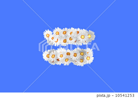 Camomile flower symbol = 10541253
