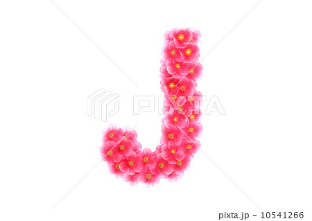 Pink violets letter J Pink violets letter J 10541266