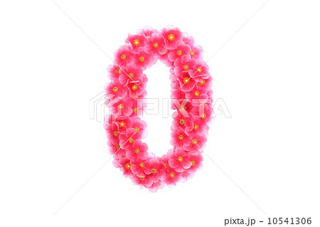 Pink violets symbol 0 10541306