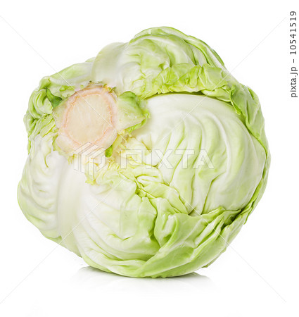 cabbage isolated 10541519