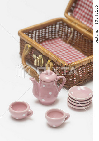 ピクニック 10542165