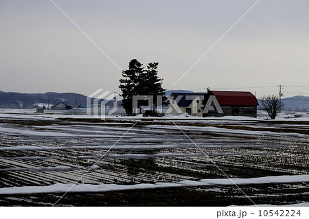 春の雪解け耕す前の田んぼ 10542224