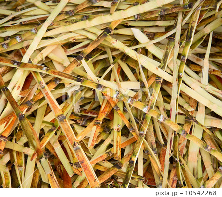 Waste from sugar production - sugar cane peels 10542268