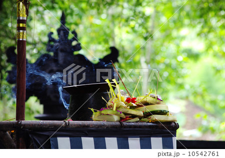 バリ島 バリ島 10542761