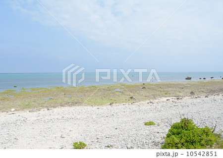石垣島白保の美しい風景 石垣島白保の美しい風景 10542851
