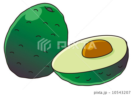 アボカド 10543207