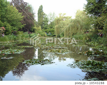 モネの庭　ジヴェルニーの庭園 10543288