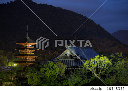 宮島　山辺の小径付近からの風景 10543355