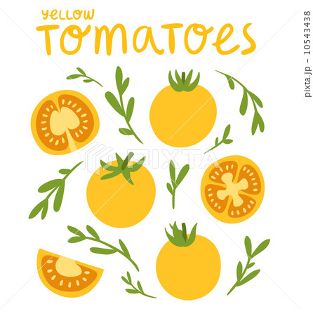Yellow tomatoes Yellow tomatoes 10543438