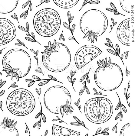 Sketched tomatoes pattern 10543440