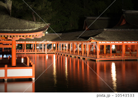 宮島 厳島神社の夜景 宮島 厳島神社の夜景 10543533