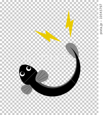 Eel eel 10543797