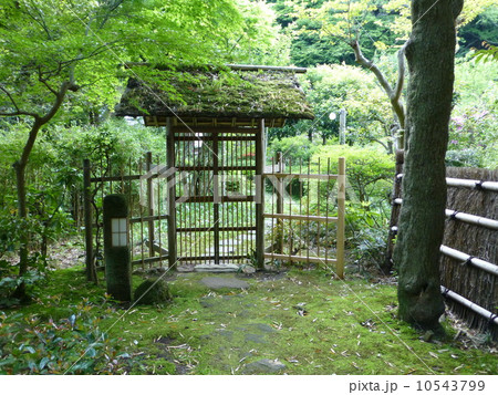 鎌倉の日本家屋 10543799