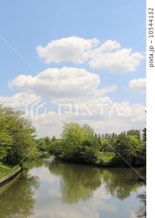 閘門橋から見た水元公園 10544132