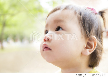 子供のまなざし 10544258
