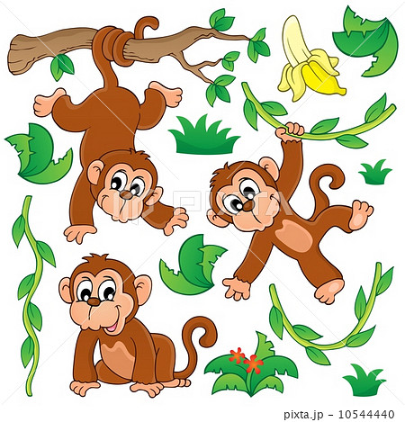 Monkey theme collection 1 10544440