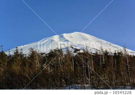 富士山頂 富士山頂 10545226