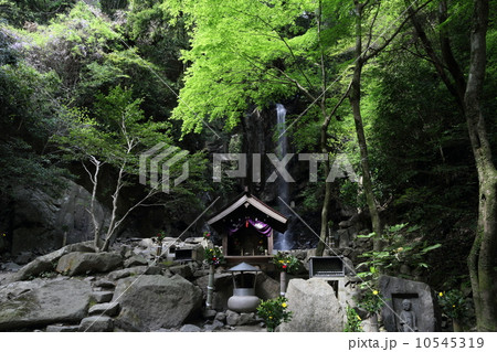 桃尾の滝 桃尾の滝 10545319
