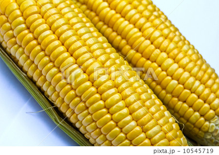 Bright color sweet corn. 10545719