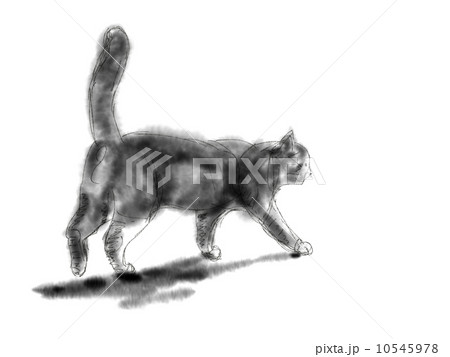 猫のイラスト　水彩風 10545978