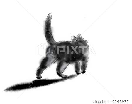 猫のイラスト　水彩風 10545979
