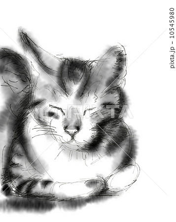 猫のイラスト 水彩風 猫のイラスト 水彩風 10545980