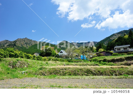 洛北大原春景 10546058