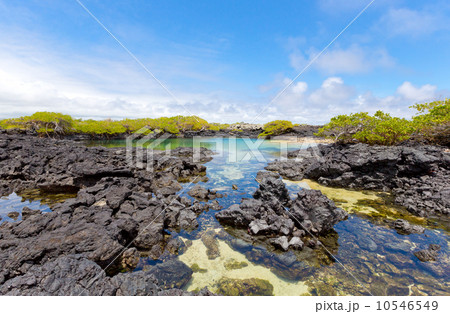 Galapagos islands 10546549