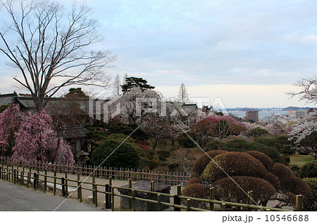 塩釜神社からの眺め 塩釜神社からの眺め 10546688