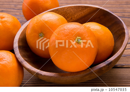 セミノール セミノール 10547035