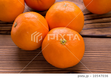 セミノール 10547036