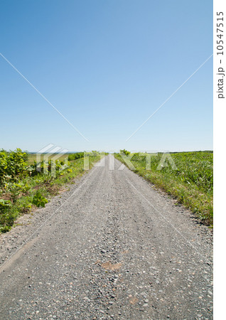 道北の未舗装路 10547515