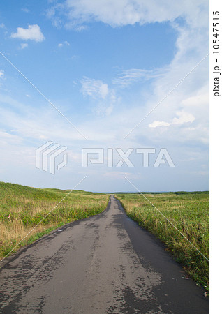 雨上がりの自転車道 10547516